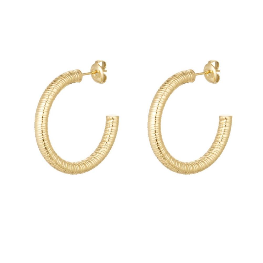 Stainless Steel Oorbellen Dames - Gestreepte Print